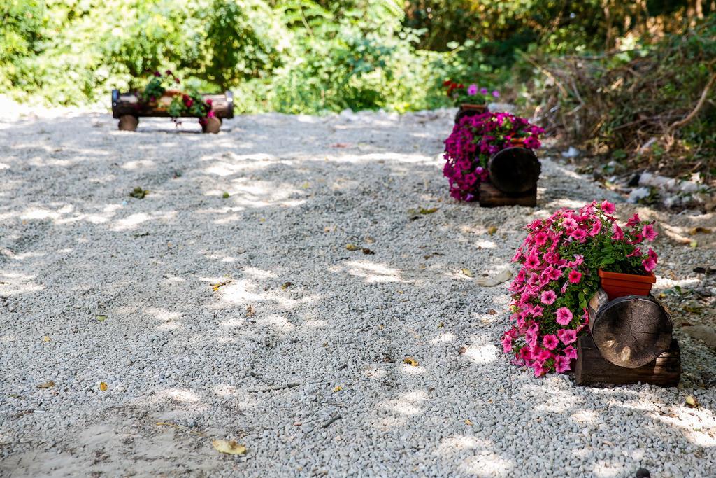 Villa Drecheva Ognyanovo  Luaran gambar
